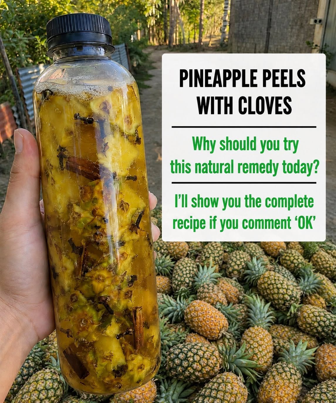 Boil pineapple peels with cloves and see how it changes your life.