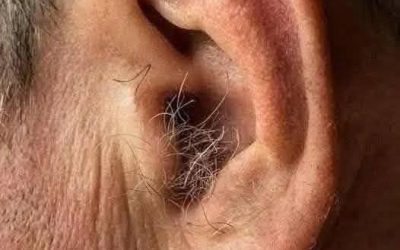 DID YOU KNOW? If hair grows in your ears, it’s because your body…
