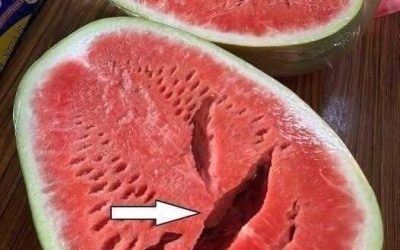 You Cut Open a Watermelon and Saw Cracks? Stop Eating It Immediately! Here’s What It Really Means