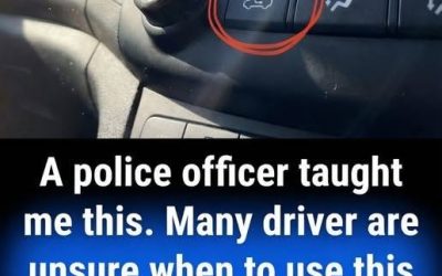 The Dashboard Feature That Changes Everything — And Most People Never Use It