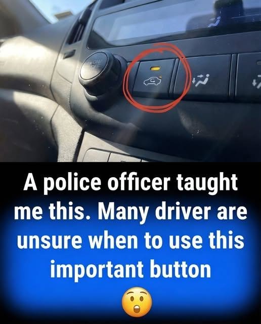 The Dashboard Feature That Changes Everything — And Most People Never Use It