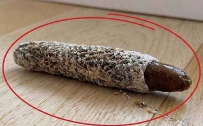 I found this on the floor near my bedroom door… No one in my house knows where it came from, and honestly, I’ve never seen anything like it before. What do you think it is? Check the first comment for the answer
