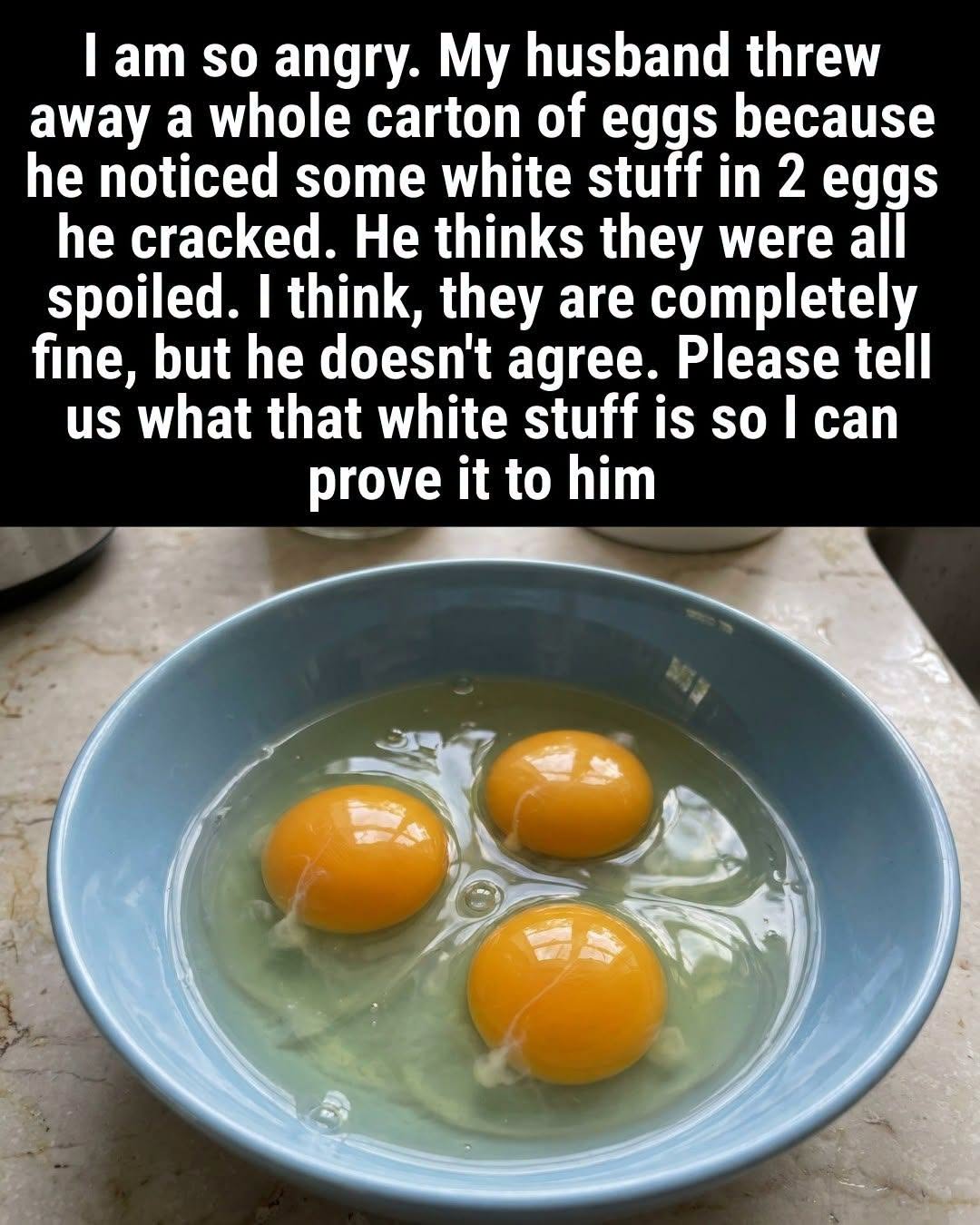 What Is That White Stuff in Eggs?